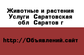 Животные и растения Услуги. Саратовская обл.,Саратов г.